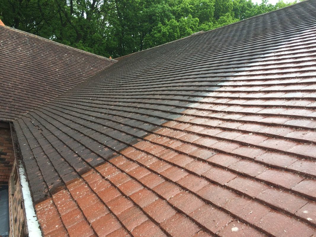 roof cleaning services near me